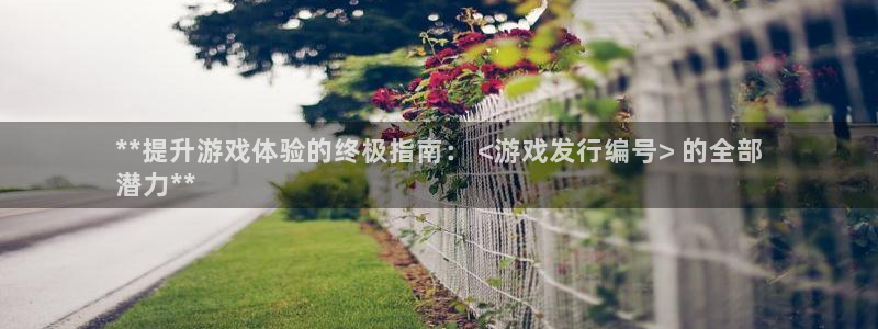 新航娱乐旗下艺人列表：**提升游戏体验的终极指南： <游戏发行编号> 的全部
潜力**