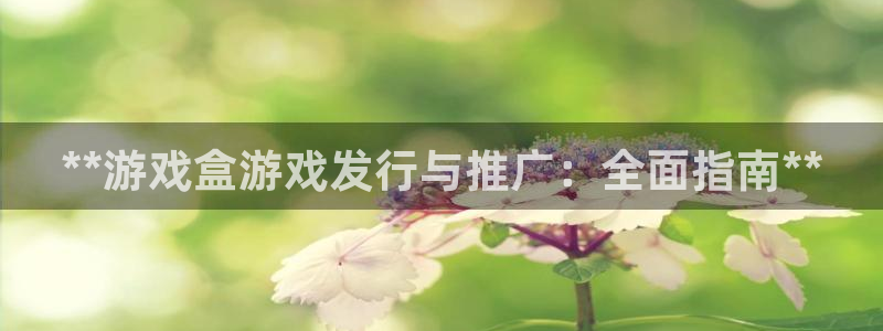 新航娱乐扣款后还能重新扣费吗怎么办：**游戏盒游戏发行与推广：全面指南**