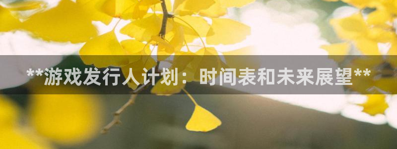 新航娱乐公司简介和历史背景介绍：**游戏发行人计划：时间表和未来展望**