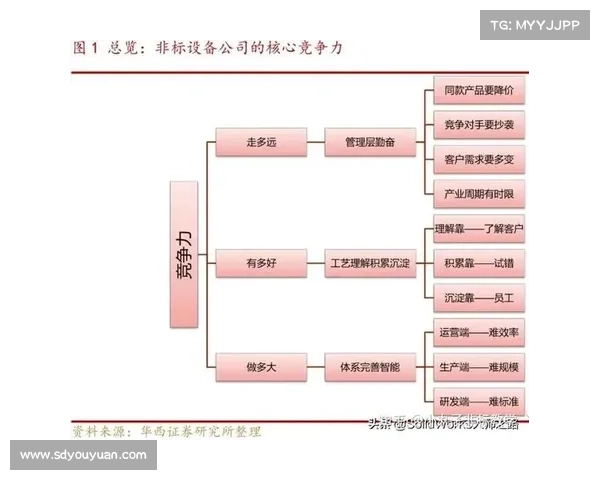 工程师职业成长路径中技能点高效优化与核心竞争力提升策略 工程师职业成长路径中技能点高效优化与核心竞争力提升策略