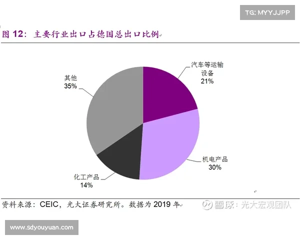 全方位解析欧国联赛的重要性与规则演变的全景深度解读权威指南篇